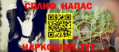 гидра Лесосибирск