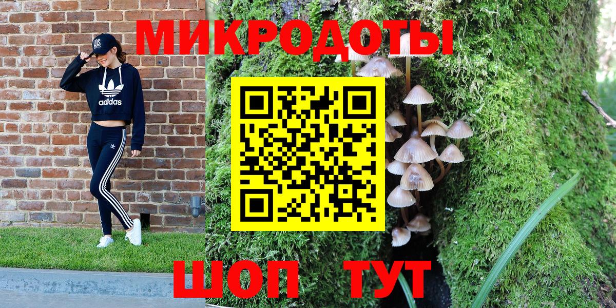 Камышин  Псилоцибиновые грибы мицелий  Галлюциногенные грибы ЛСД  Вход с VPN 