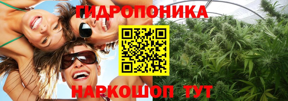 Шишки марихуана семена  Конопля семена  Камышин  Вход с VPN  Каннабис THC 21% 